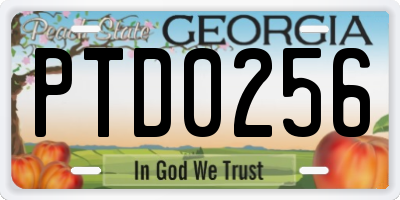 GA license plate PTD0256