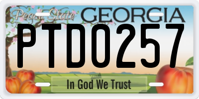 GA license plate PTD0257