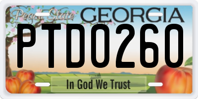 GA license plate PTD0260