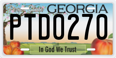 GA license plate PTD0270