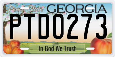 GA license plate PTD0273