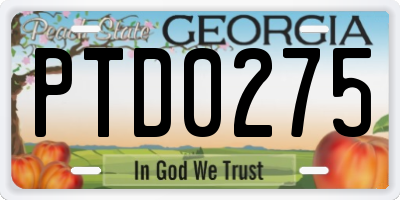GA license plate PTD0275