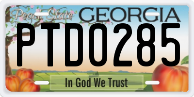 GA license plate PTD0285