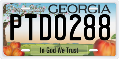 GA license plate PTD0288
