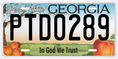 GA license plate PTD0289