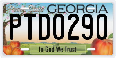 GA license plate PTD0290