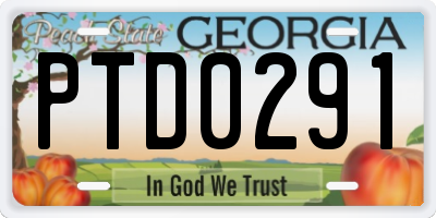 GA license plate PTD0291