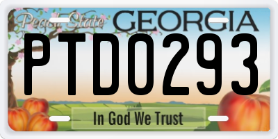 GA license plate PTD0293