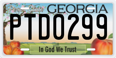 GA license plate PTD0299