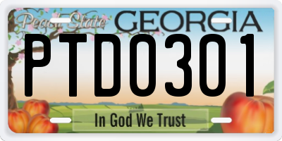 GA license plate PTD0301
