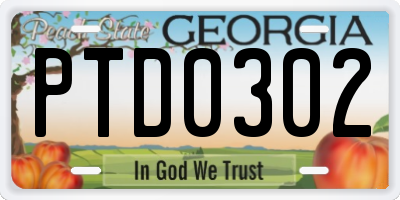 GA license plate PTD0302