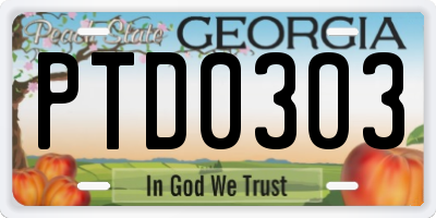 GA license plate PTD0303