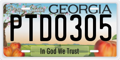 GA license plate PTD0305
