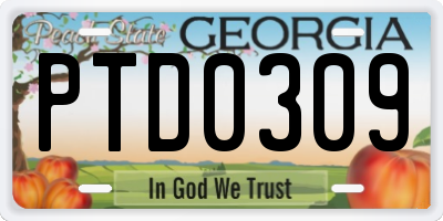 GA license plate PTD0309