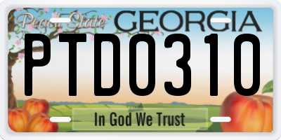 GA license plate PTD0310