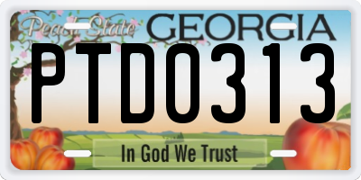 GA license plate PTD0313