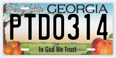 GA license plate PTD0314
