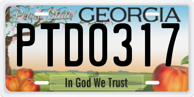 GA license plate PTD0317