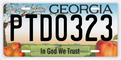GA license plate PTD0323