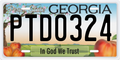 GA license plate PTD0324