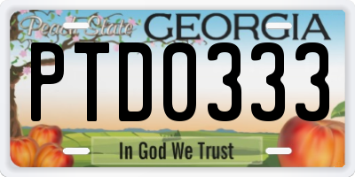 GA license plate PTD0333