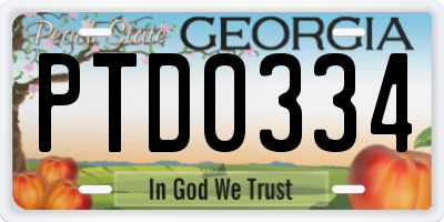 GA license plate PTD0334