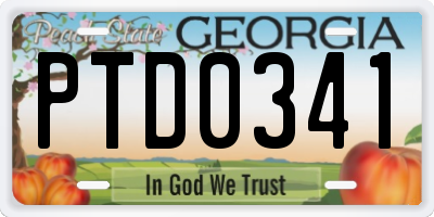 GA license plate PTD0341