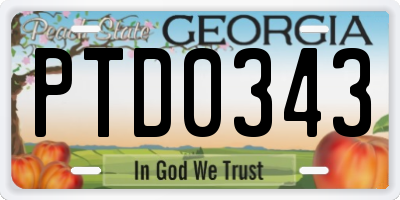 GA license plate PTD0343