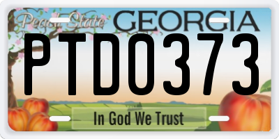 GA license plate PTD0373