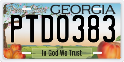 GA license plate PTD0383