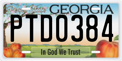 GA license plate PTD0384