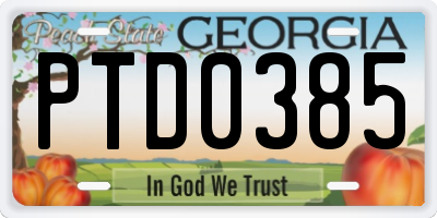 GA license plate PTD0385