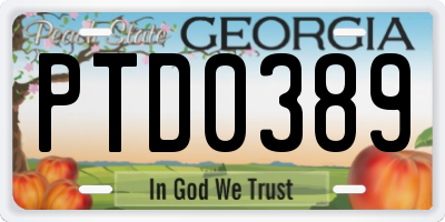 GA license plate PTD0389