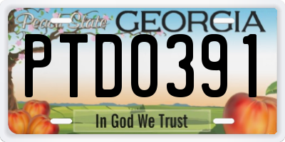GA license plate PTD0391