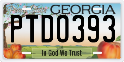 GA license plate PTD0393