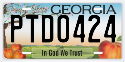 GA license plate PTD0424