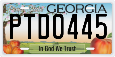 GA license plate PTD0445