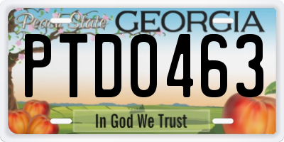 GA license plate PTD0463