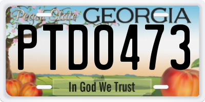 GA license plate PTD0473