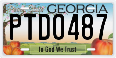 GA license plate PTD0487