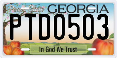 GA license plate PTD0503