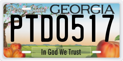 GA license plate PTD0517