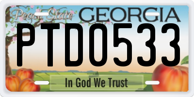 GA license plate PTD0533