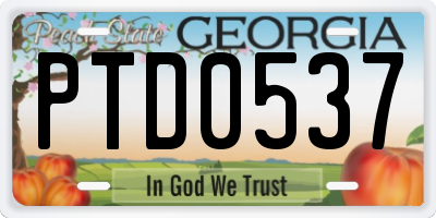 GA license plate PTD0537