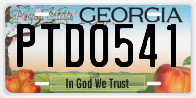 GA license plate PTD0541