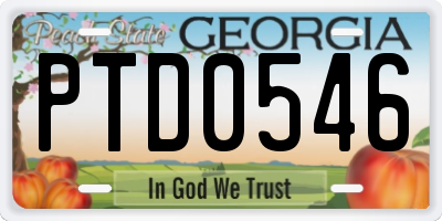 GA license plate PTD0546
