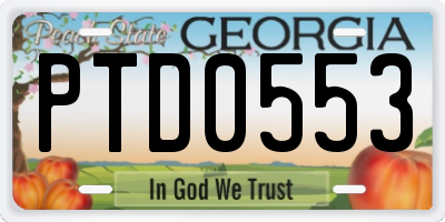 GA license plate PTD0553