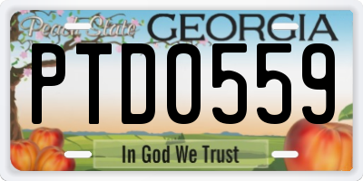 GA license plate PTD0559