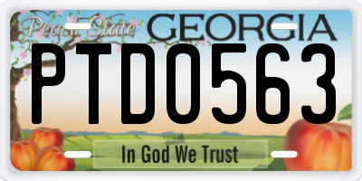 GA license plate PTD0563