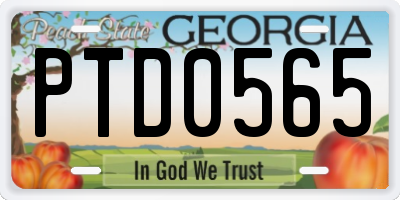 GA license plate PTD0565